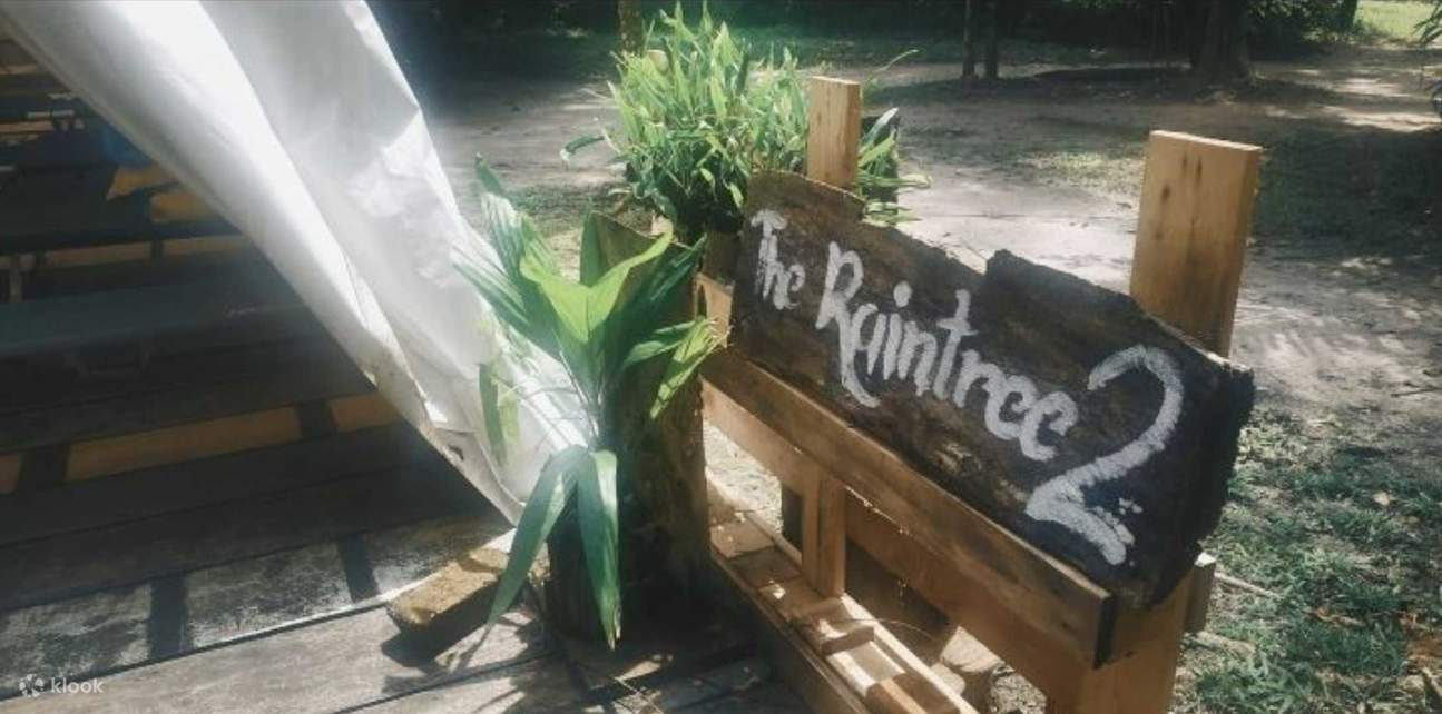 El glamping Raintree 2