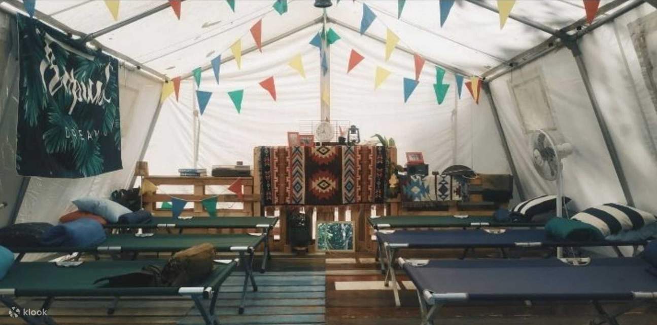 El árbol de lluvia 2