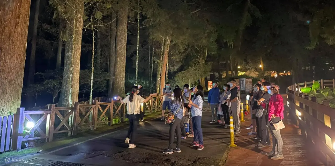 南投溪头: 溪头夜间生态探索体验
