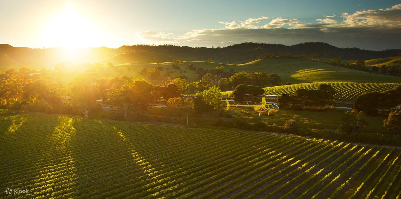 pemandangan matahari terbit di Barossa Valley
