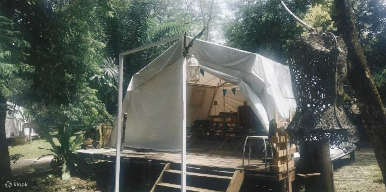 El árbol de lluvia 2