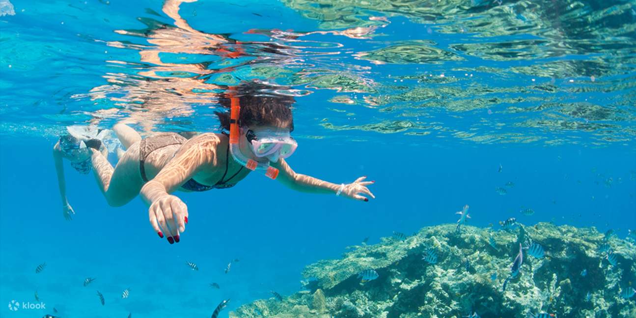 Coral Gardens Full Day Snorkeling Sea Trip & Lunch – Marsa Alam