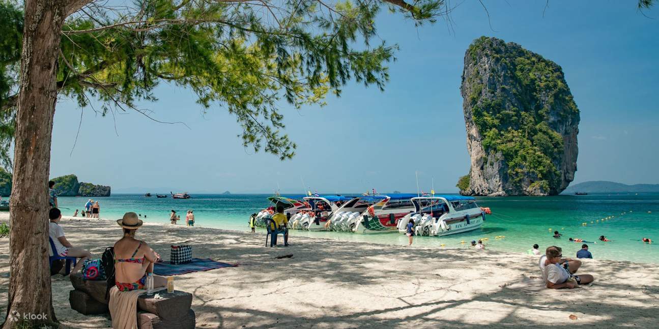 Bio Luminescent Swimming From Krabi