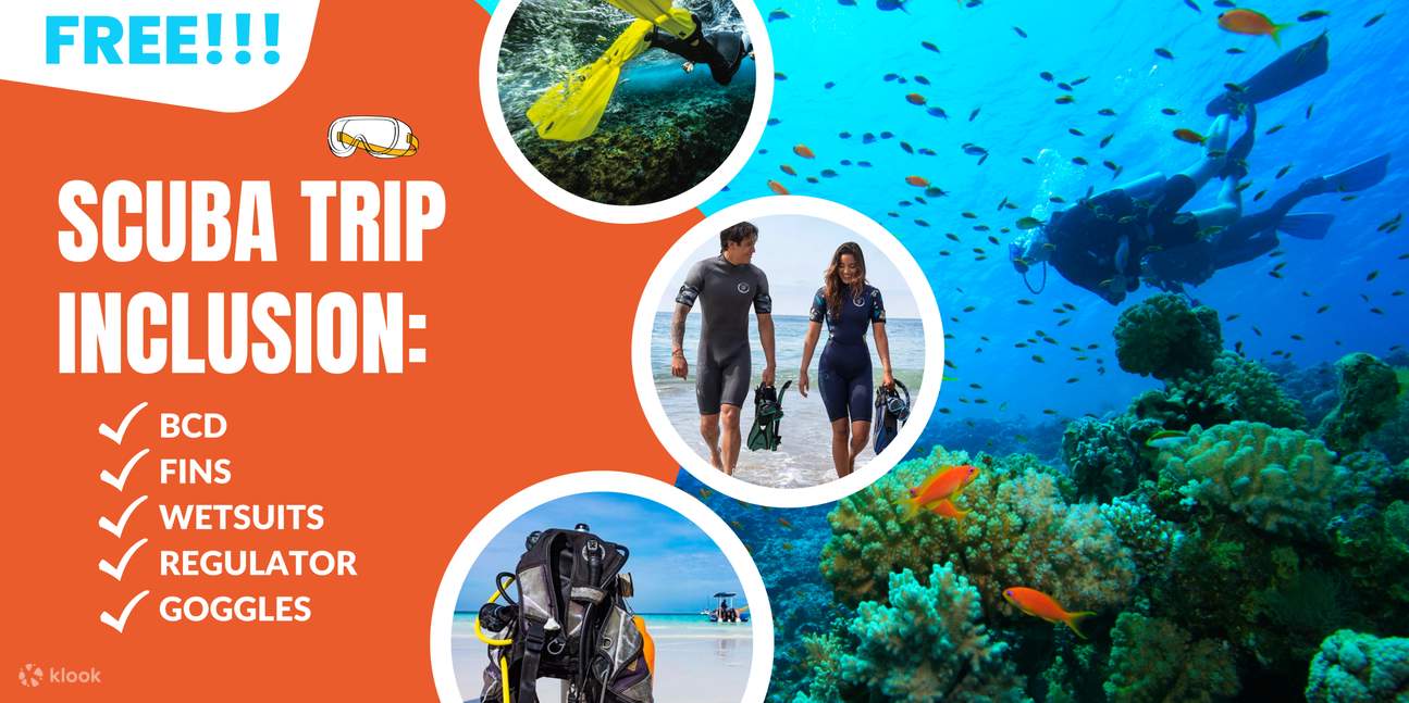 Plongée sous-marine à Pattaya par Manta Marina