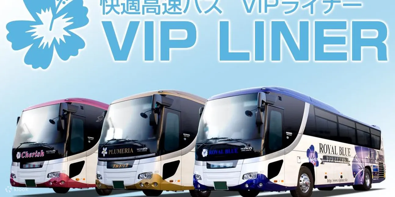 vip liner艺人教练