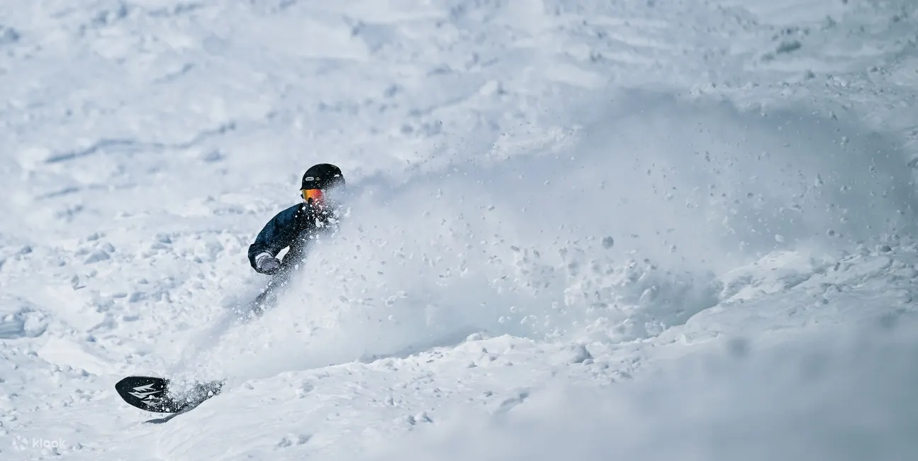 大家在粉雪里面冲浪