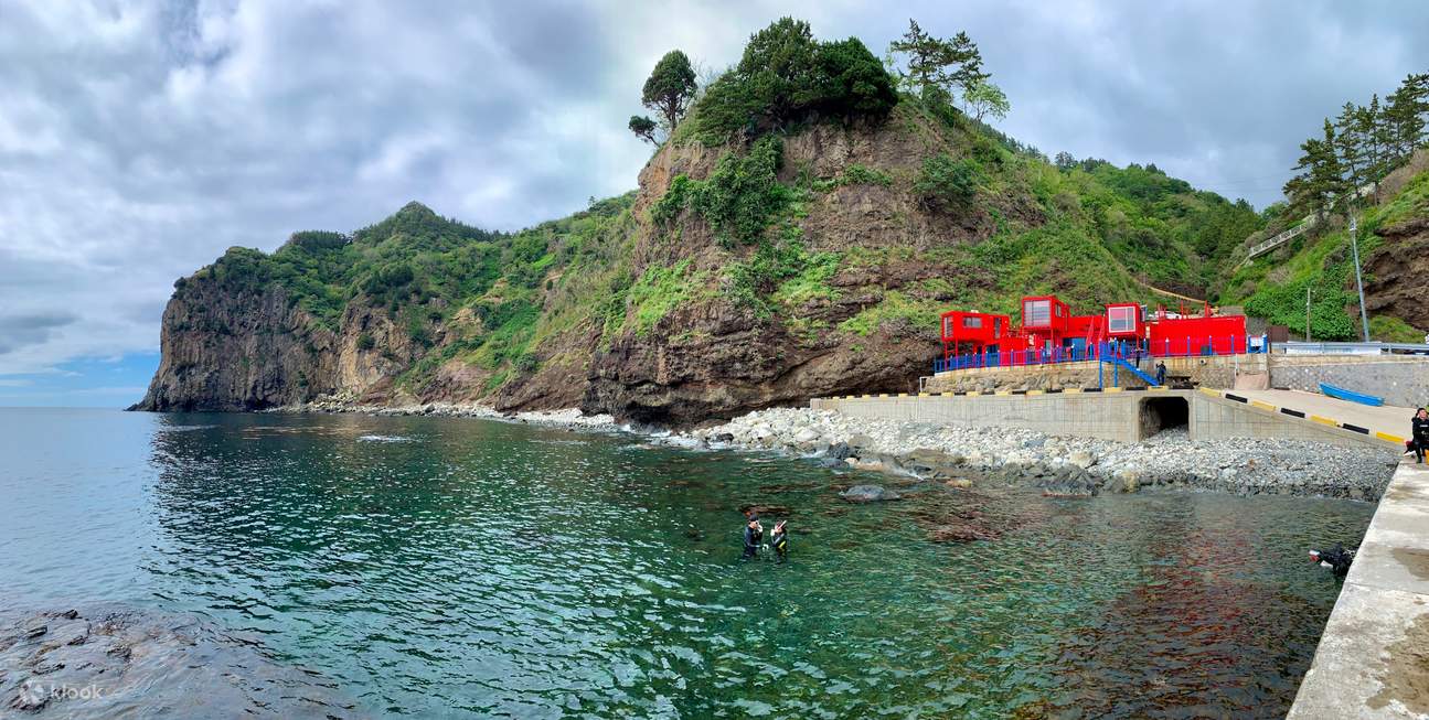 Ulleungdo Hakpo Beach Snorkeling Experience