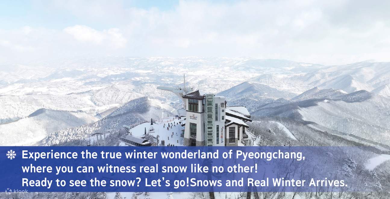 乗合シャトルバス送迎（ソウル⇔アルペンシア/ヨンピョンスキーリゾート）