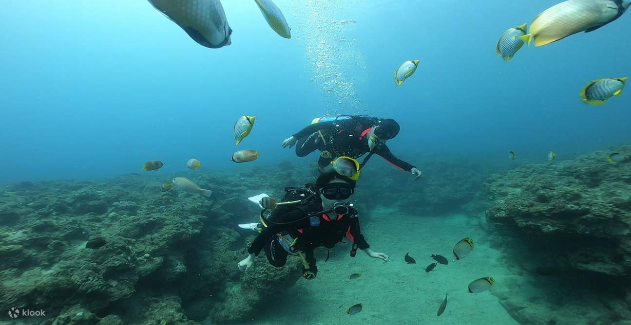Diving in Xiao Liuqiu