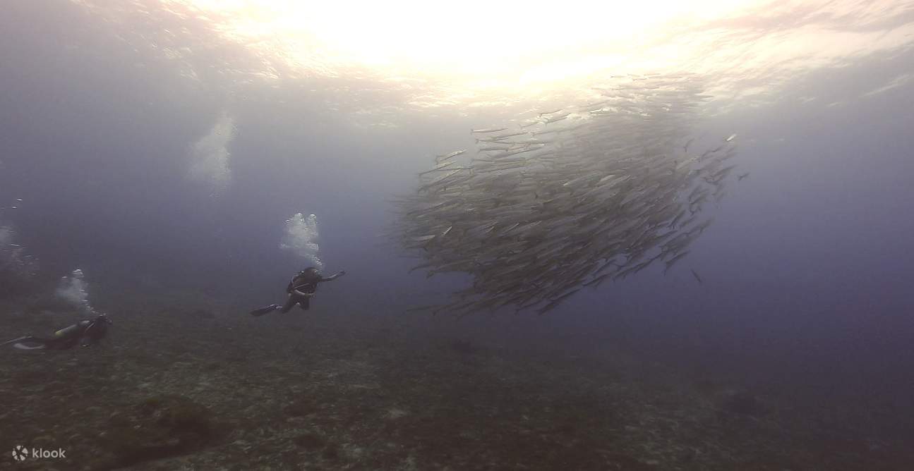 Diving in Xiao Liuqiu
