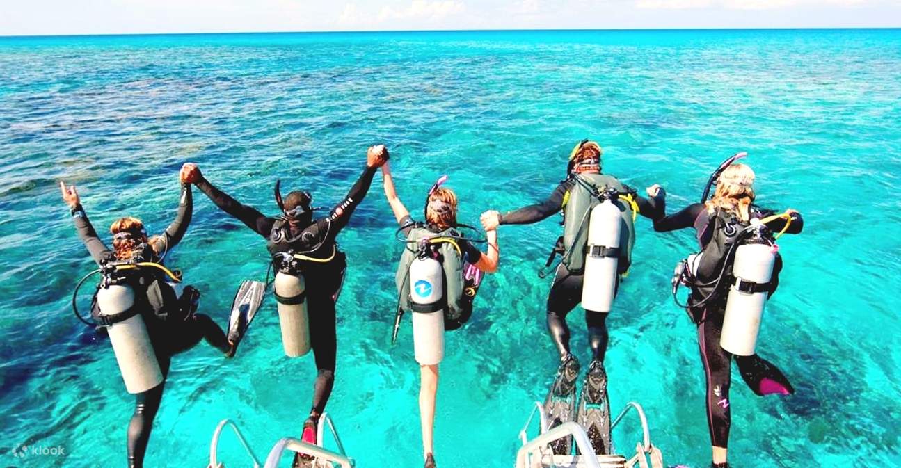 洪加達：入門潛水及浮潛之旅（含午餐）