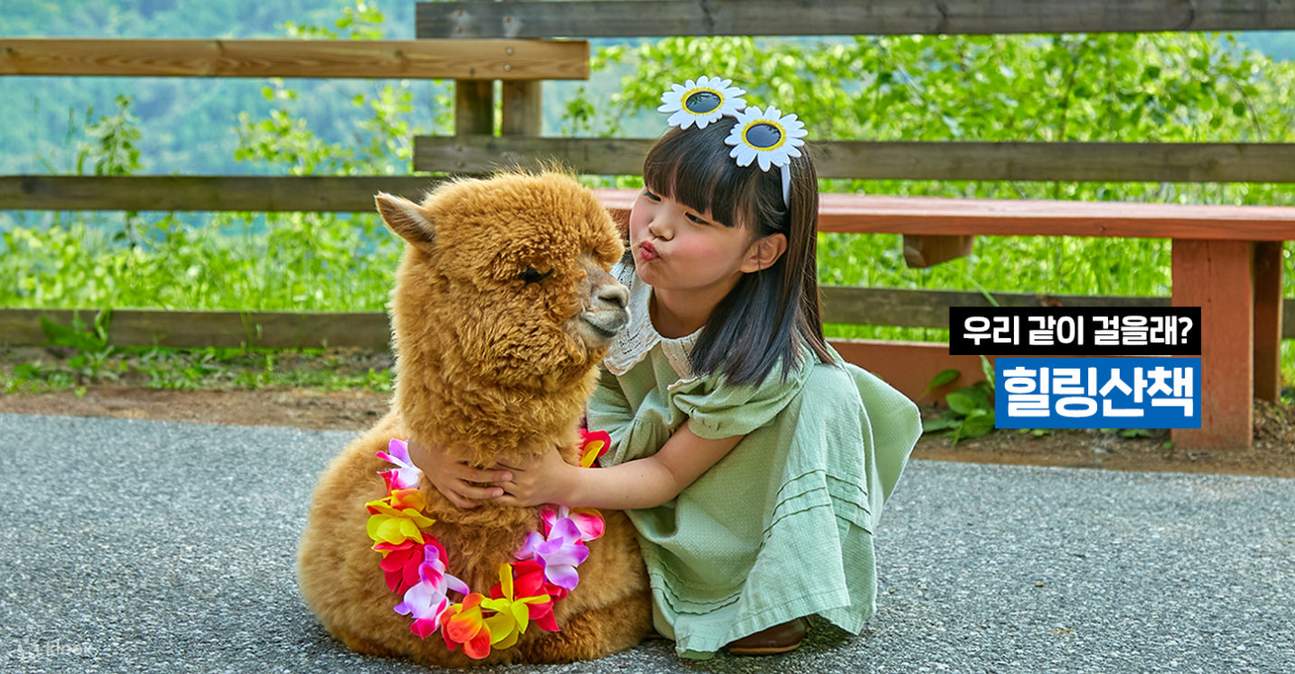 南怡島・プチフランス・イタリア村 バン乗車チケット（ソウル発）