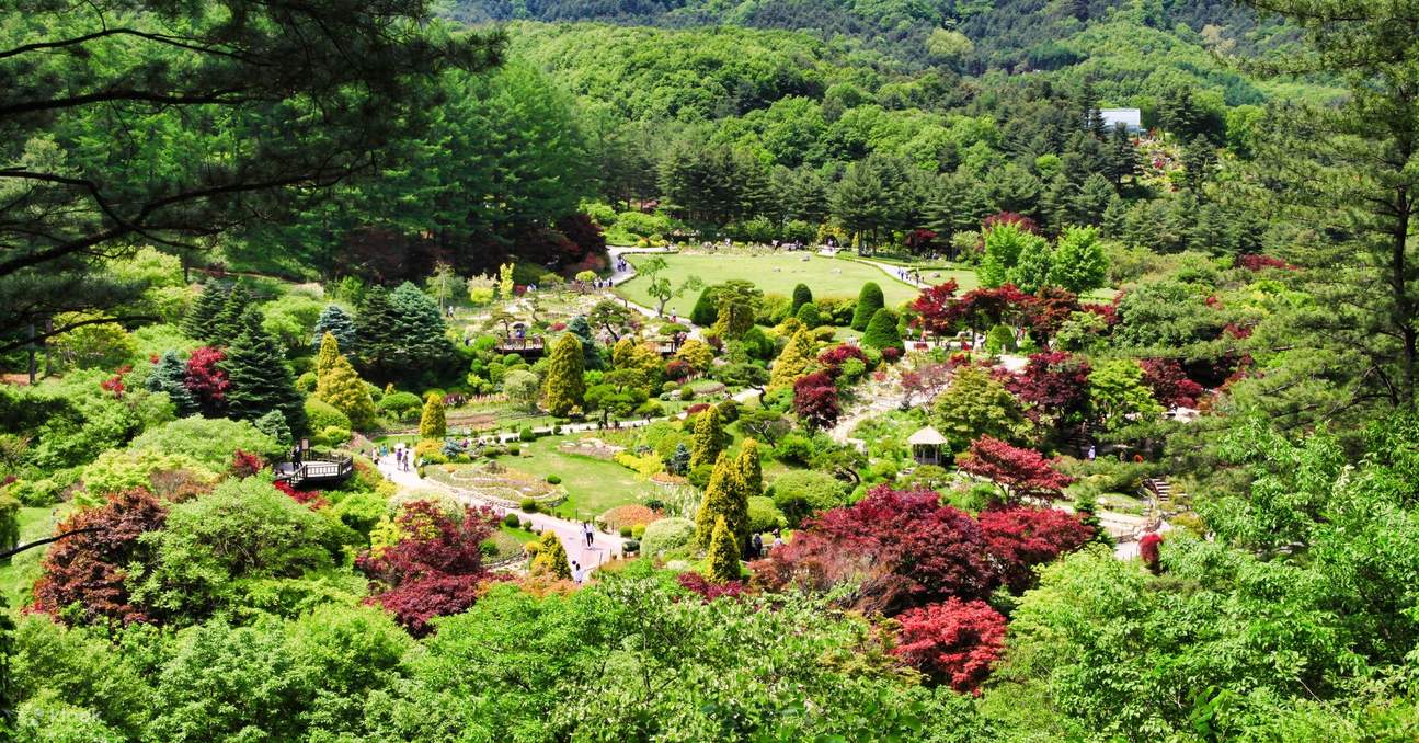 Seoul Tagestour zur Insel Nami Klook, Vereinigte Staaten