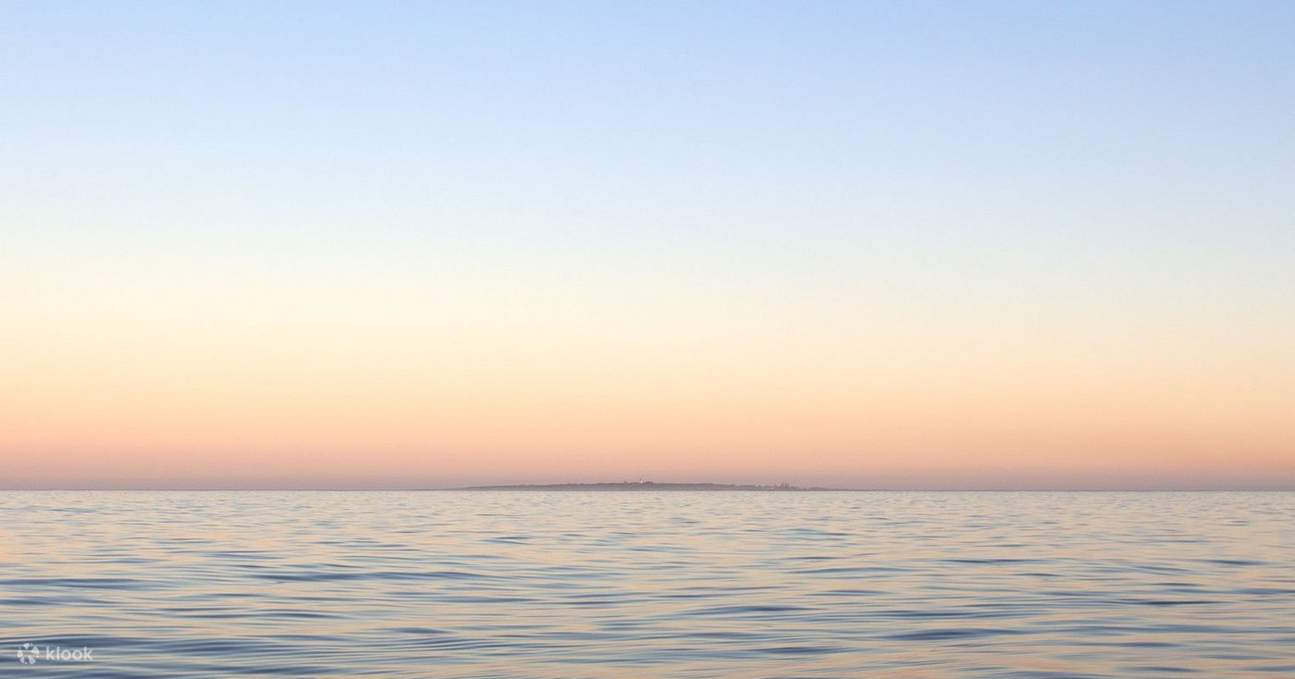 Rencontre avec la faune marine