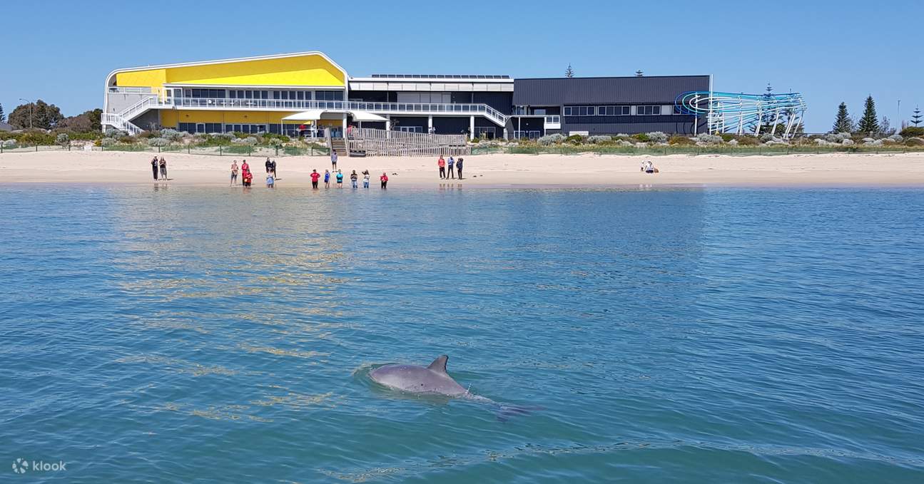 Билет в Dolphin Discovery Centre в Банбери