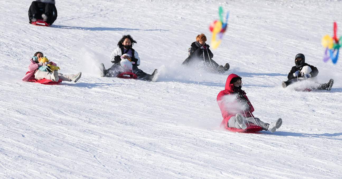 Билет в парк развлечений Seoul Land