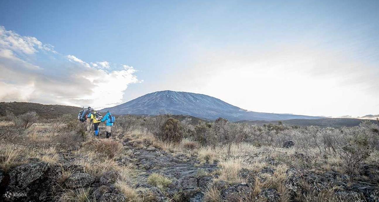 Experience the Beauty of Mount Kilimanjaro National Park with a Day