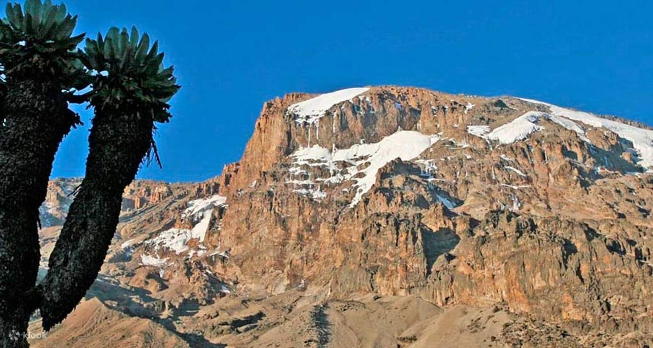 Experience the Beauty of Mount Kilimanjaro National Park with a Day