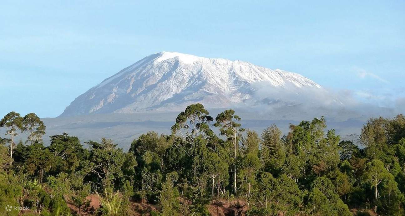 Experience the Beauty of Mount Kilimanjaro National Park with a Day