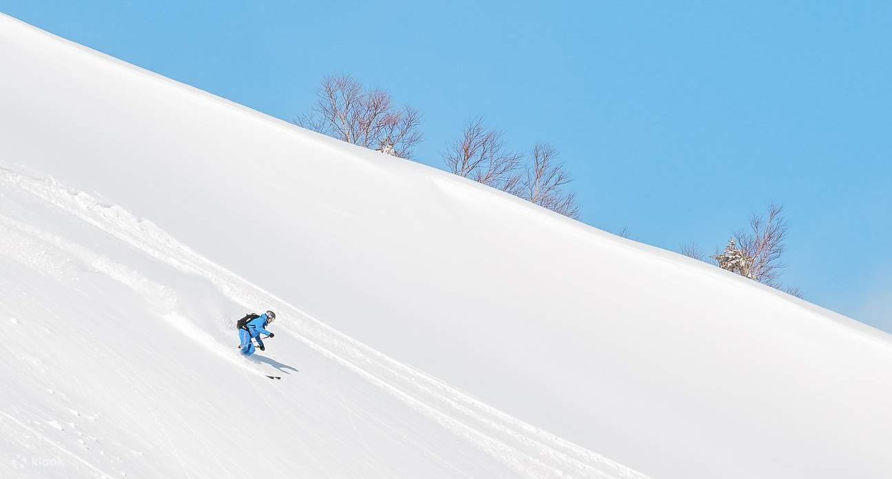 Tuyệt vời bột tuyết Hokkaido