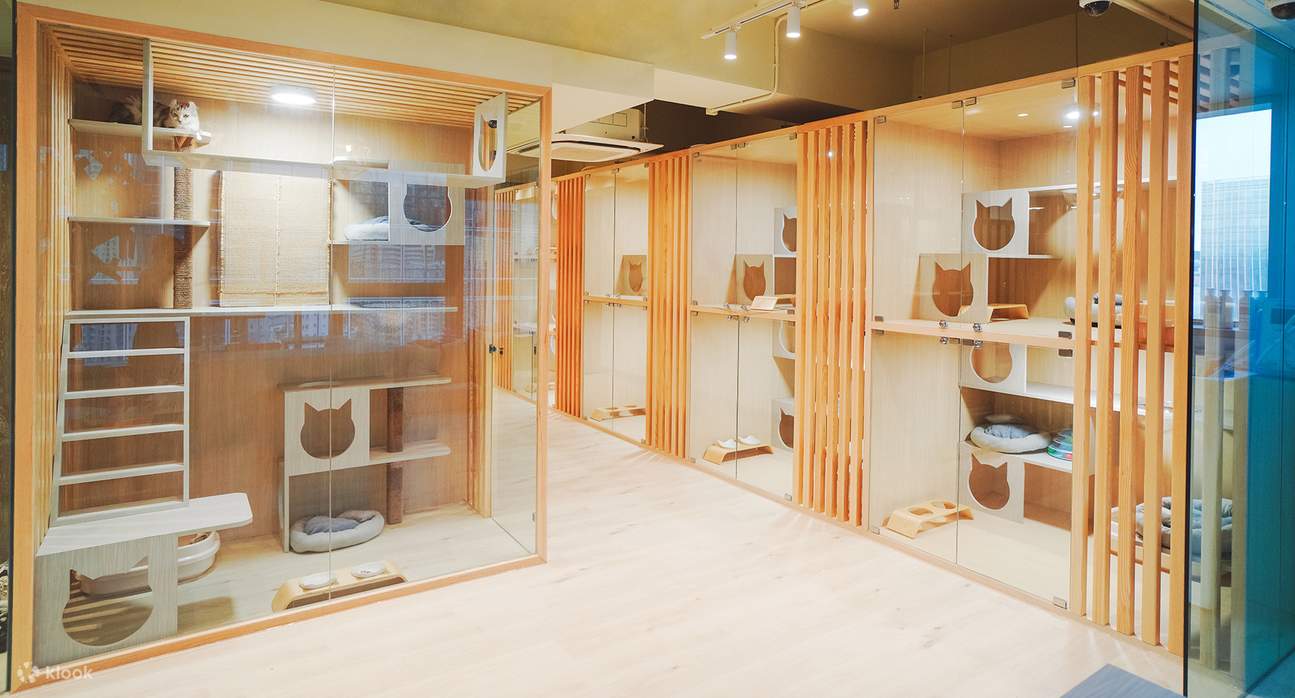 猫季酒店 - 猫猫住宿服务