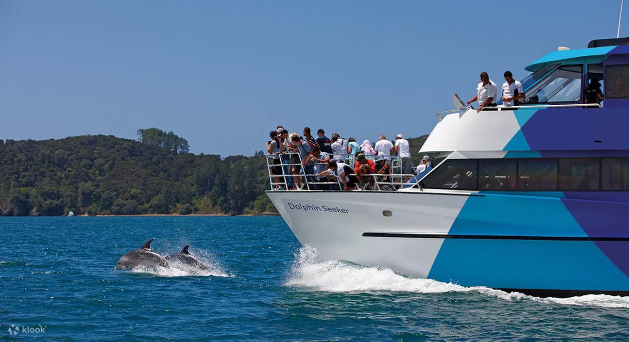 Bay of Islands Full Day Tour with Hole in the Rock Dolphin Cruise