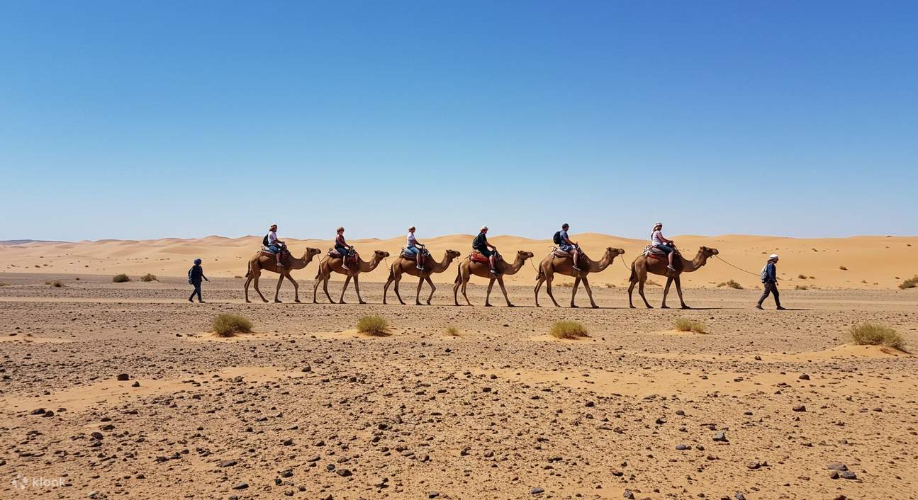 Desert Adventure Quad Biking Camel Riding & Dinner Show in Agafay