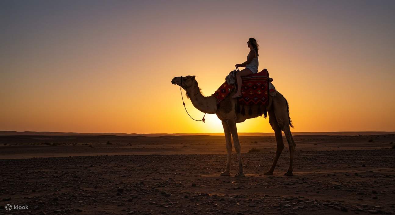 Desert Adventure Quad Biking Camel Riding & Dinner Show in Agafay