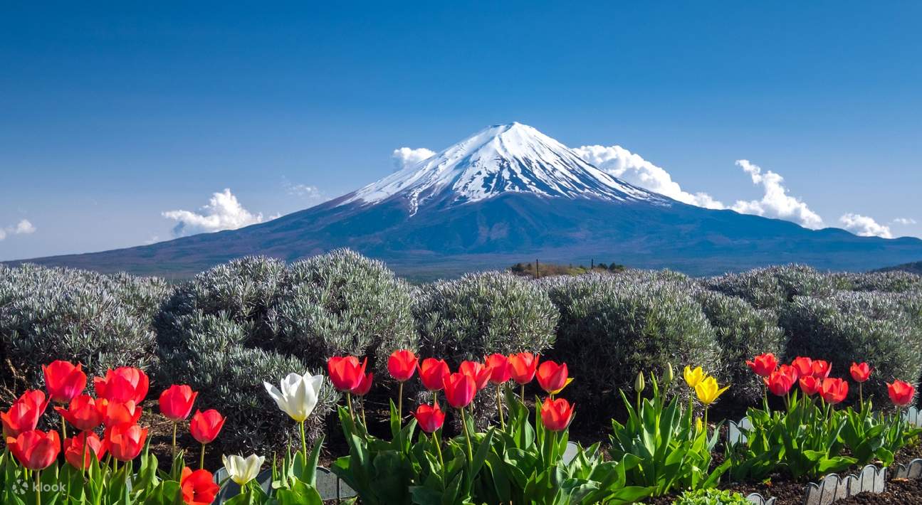 Mount Fuji Magnificent Scenery Day Trip (Departing from Tokyo) - Klook Mount Fuji Magnificent Scenery Day Trip (Departing from Tokyo) - Klook
