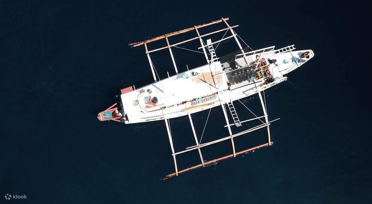 Voyage de plongée amusant