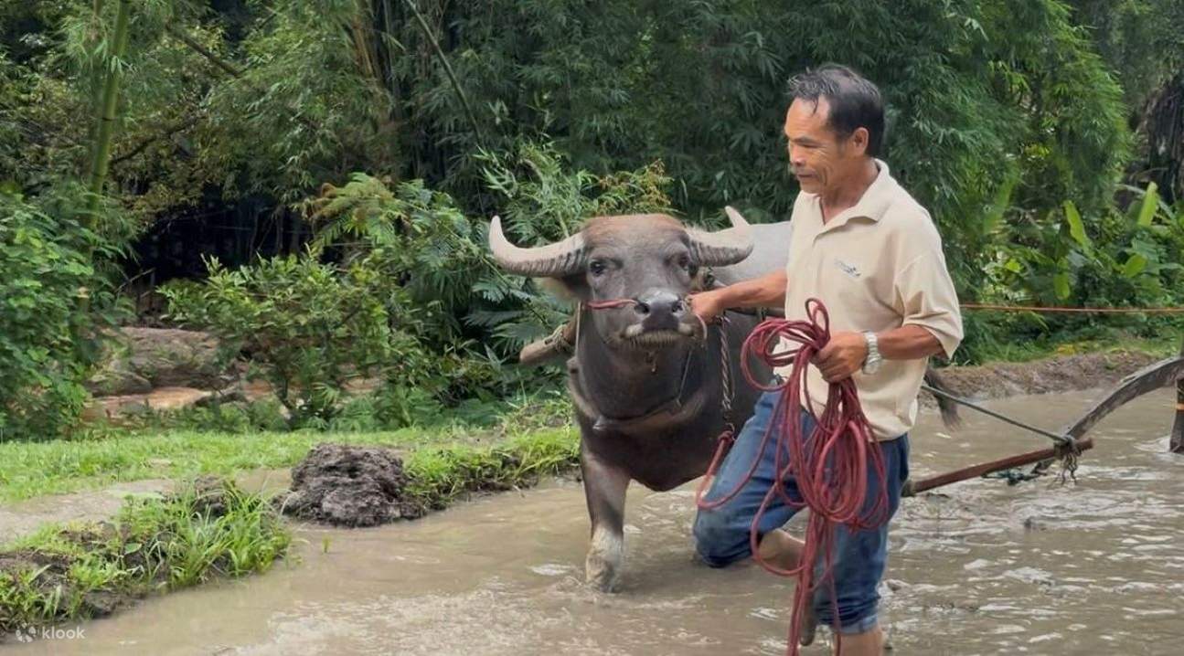 半日／全日農場生活體驗：從產地到餐桌