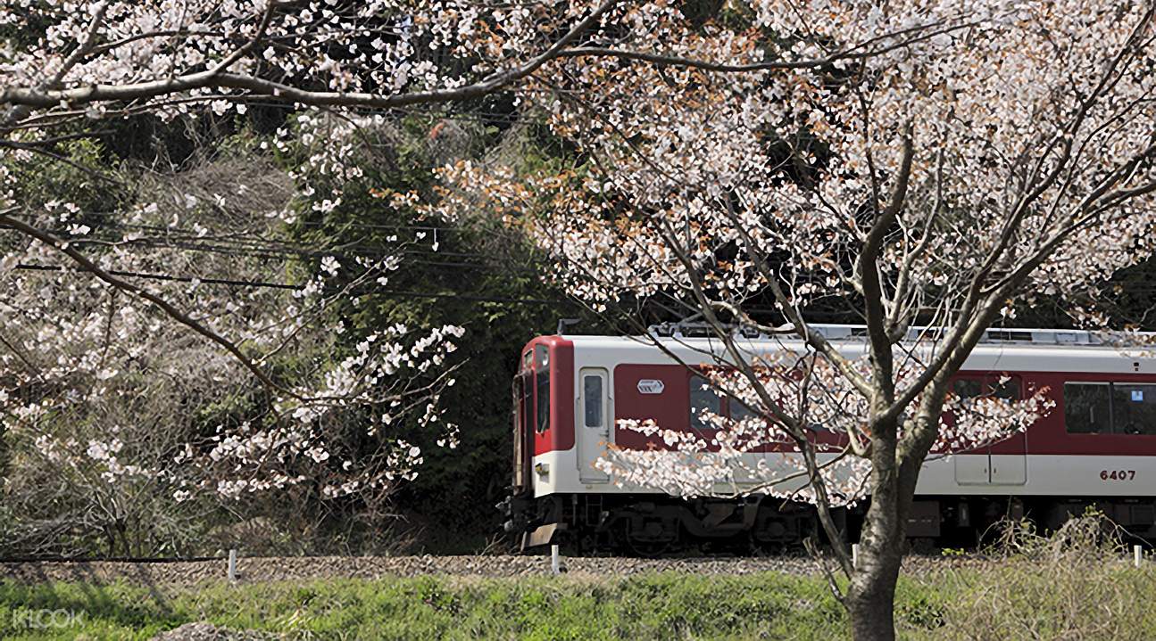 Kintetsu Rail Pass (1 Day/2 Days/5 Days/Plus)