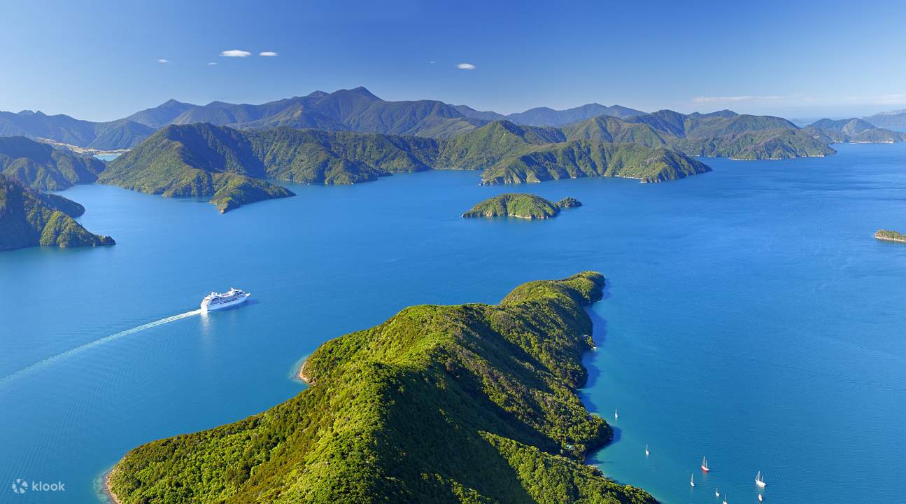 Dolphin Swim or View Experience - Klook