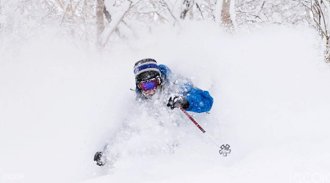 北海道粉雪滑雪体验 Klook客路中国