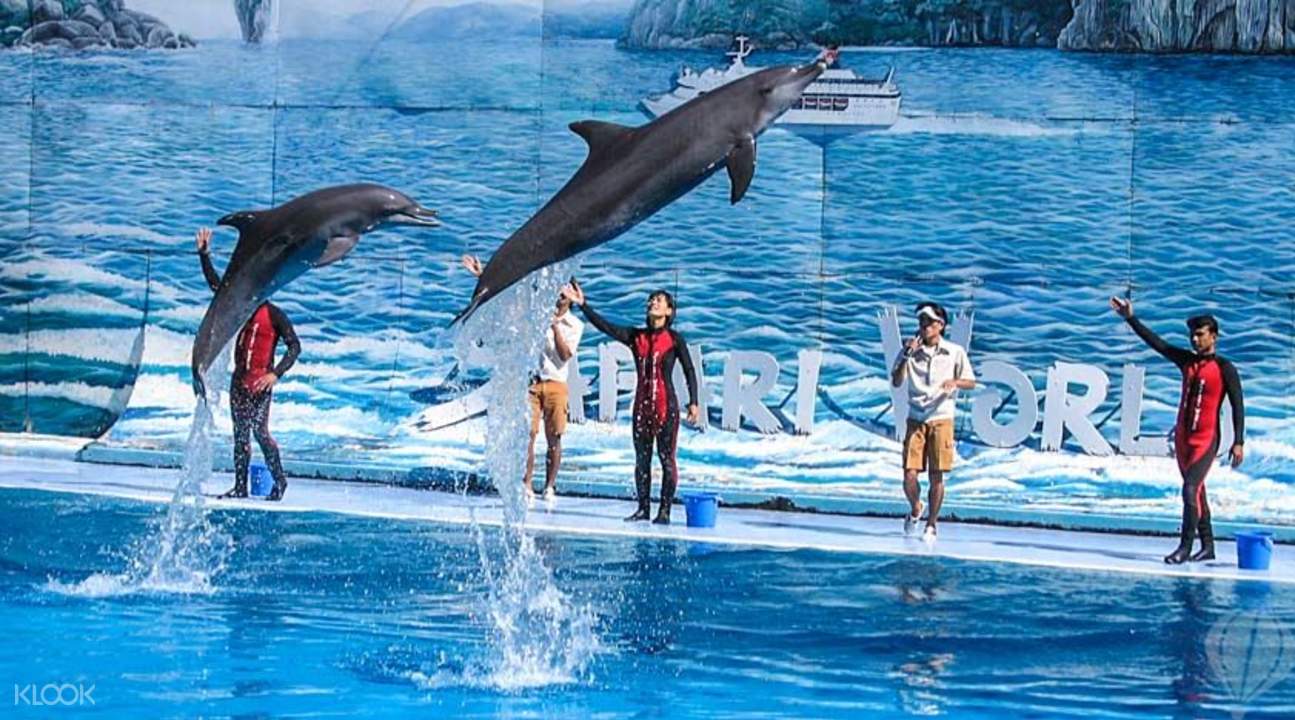 曼谷野生動物園海豚秀