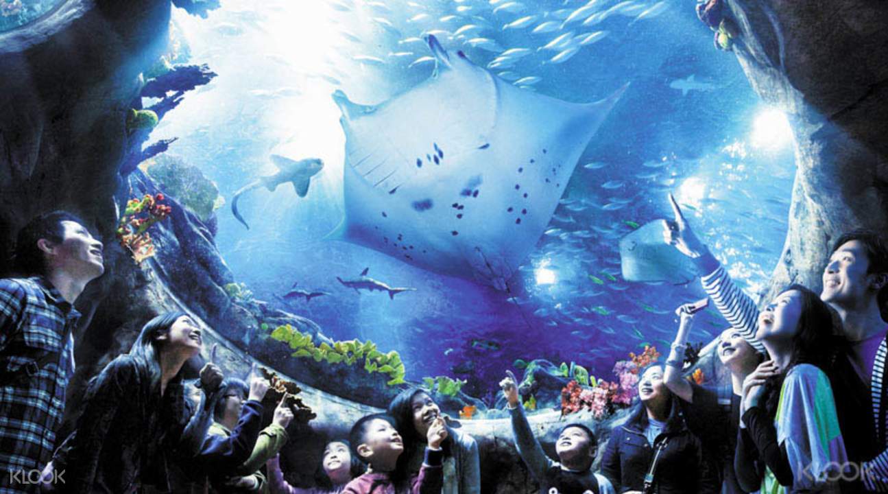 Ocean Park Hong Kong Tickets plus Optional Meals, Coupon & Ocean