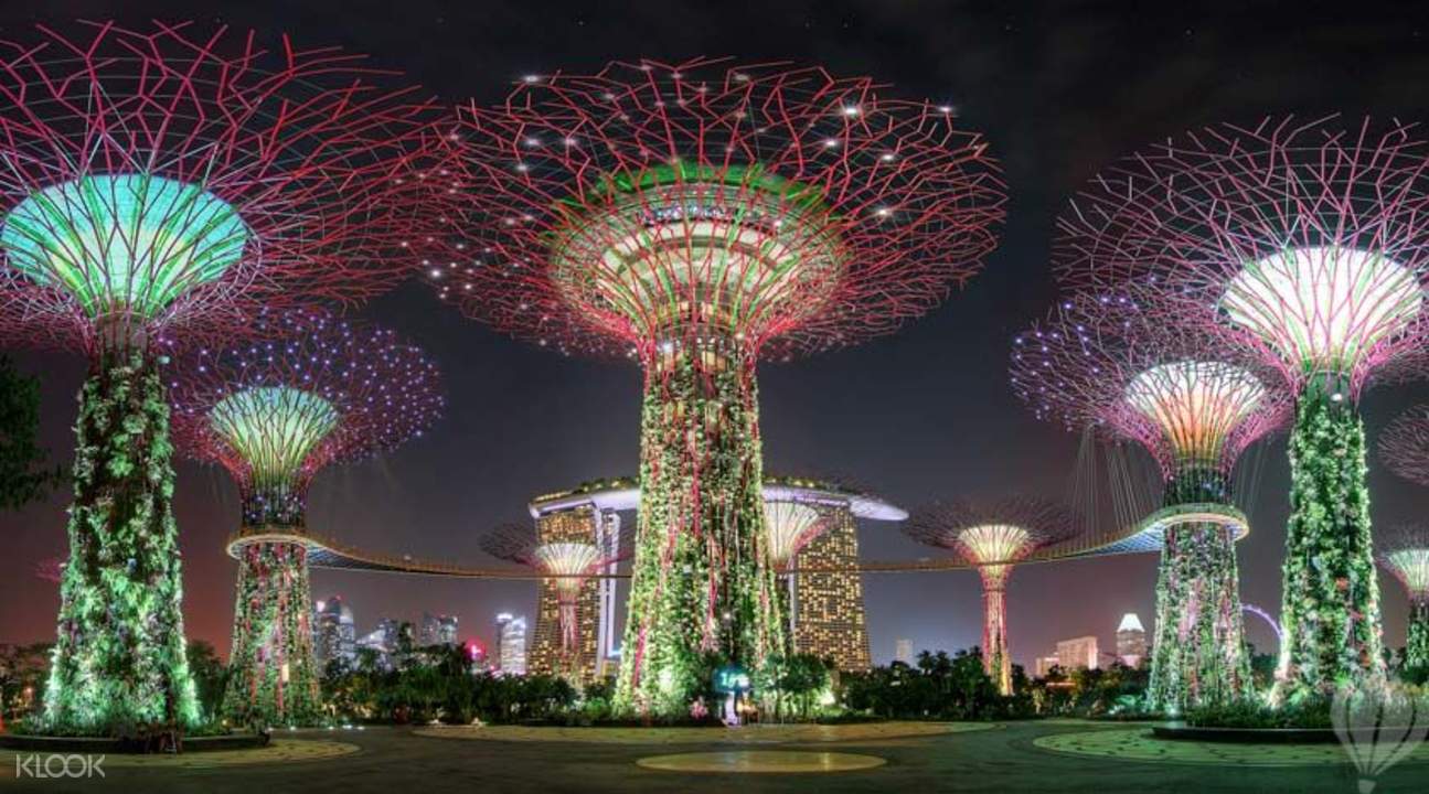 夜晚超級擎天樹燈光秀