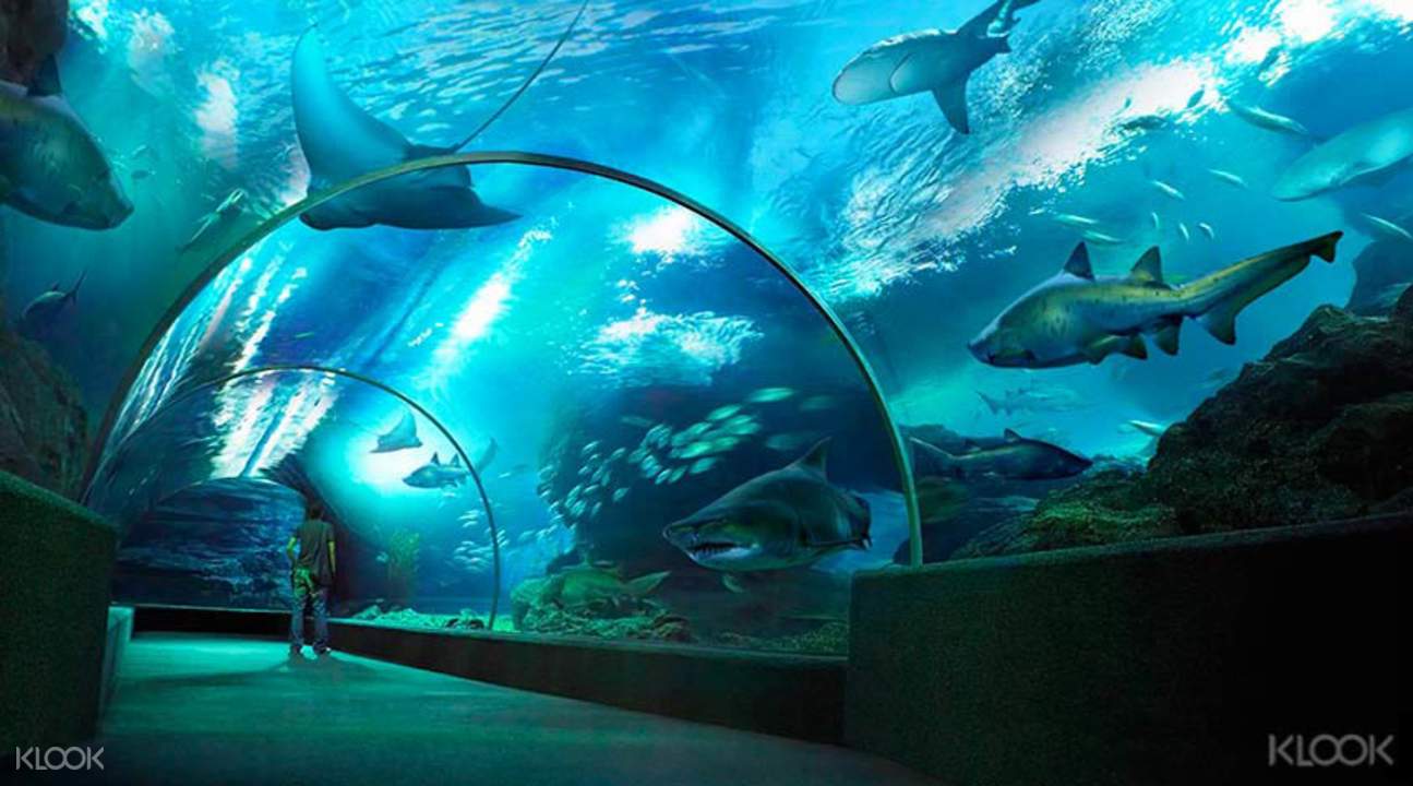暹羅海洋世界海底隧道