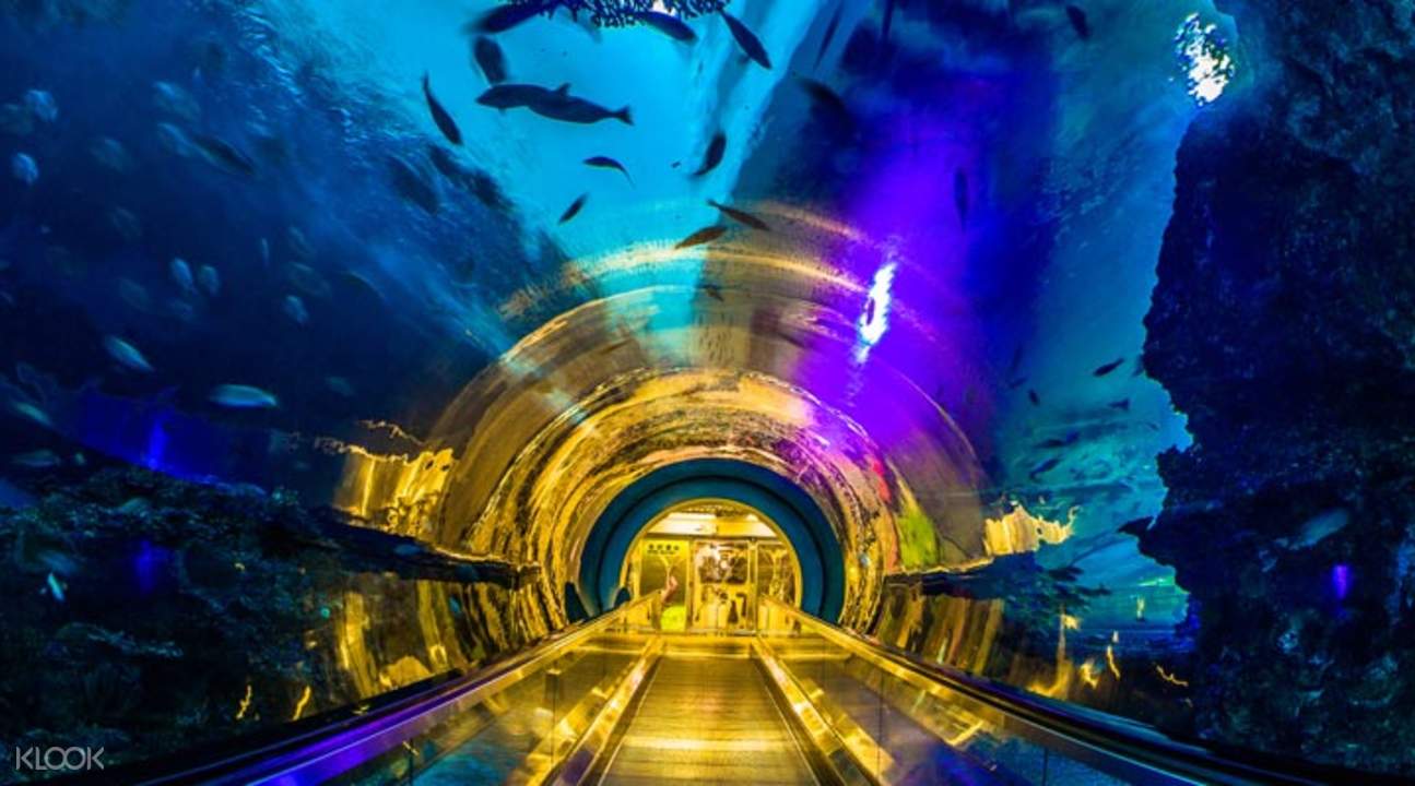 屏東海生館海底隧道
