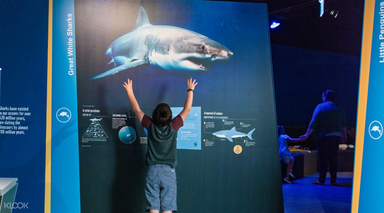 諾比斯南極之旅