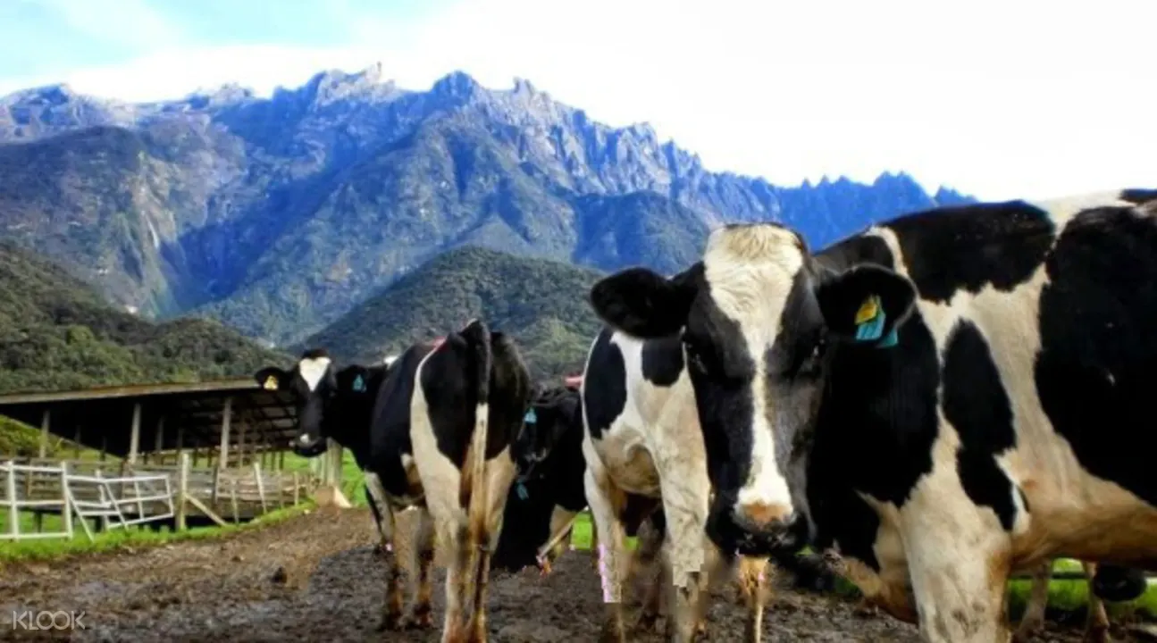 神山公園、波令溫泉