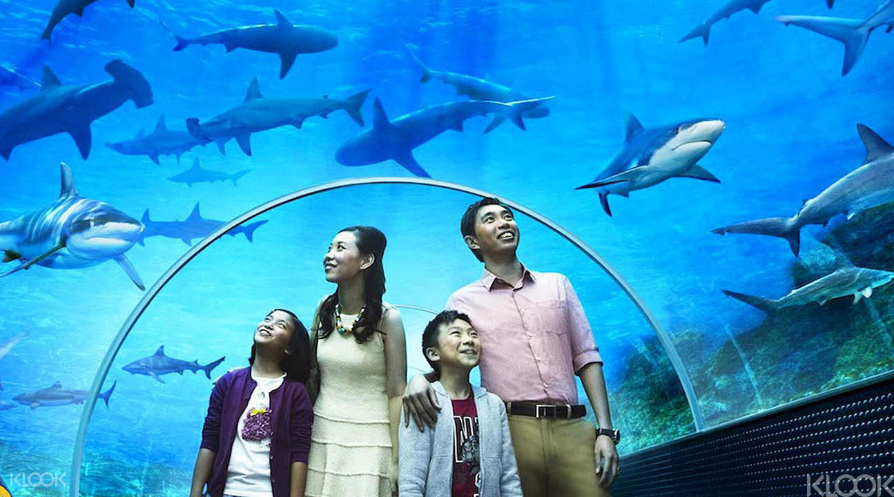 聖淘沙歡樂套票