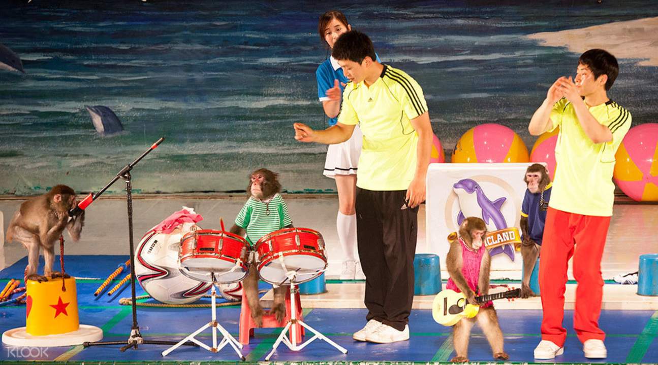 濟州島太平洋樂園動物表演