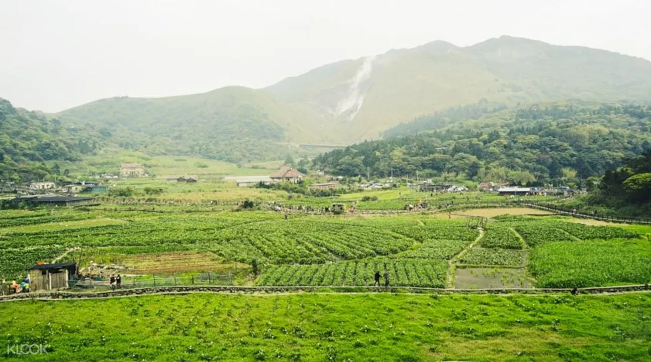 陽明山溫泉