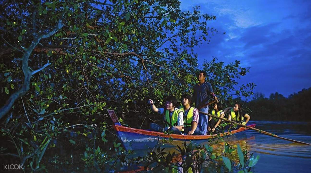 Wisata Malam Kunang Kunang Dengan Makan Malam Seafood Dan Naik Kapal