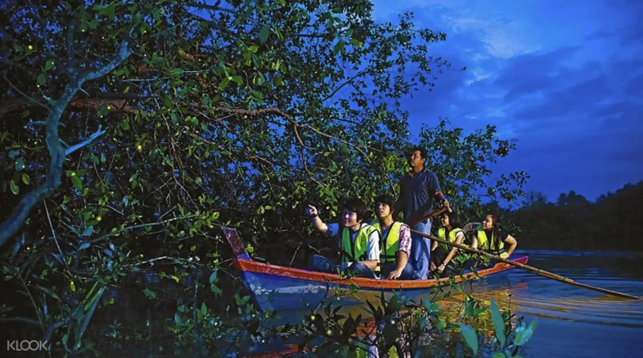 Wisata Malam Kunang Kunang Dengan Makan Malam Seafood Dan Naik Kapal
