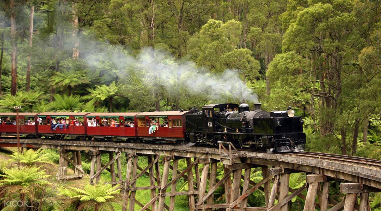puffing billy steam train & wine country day tour