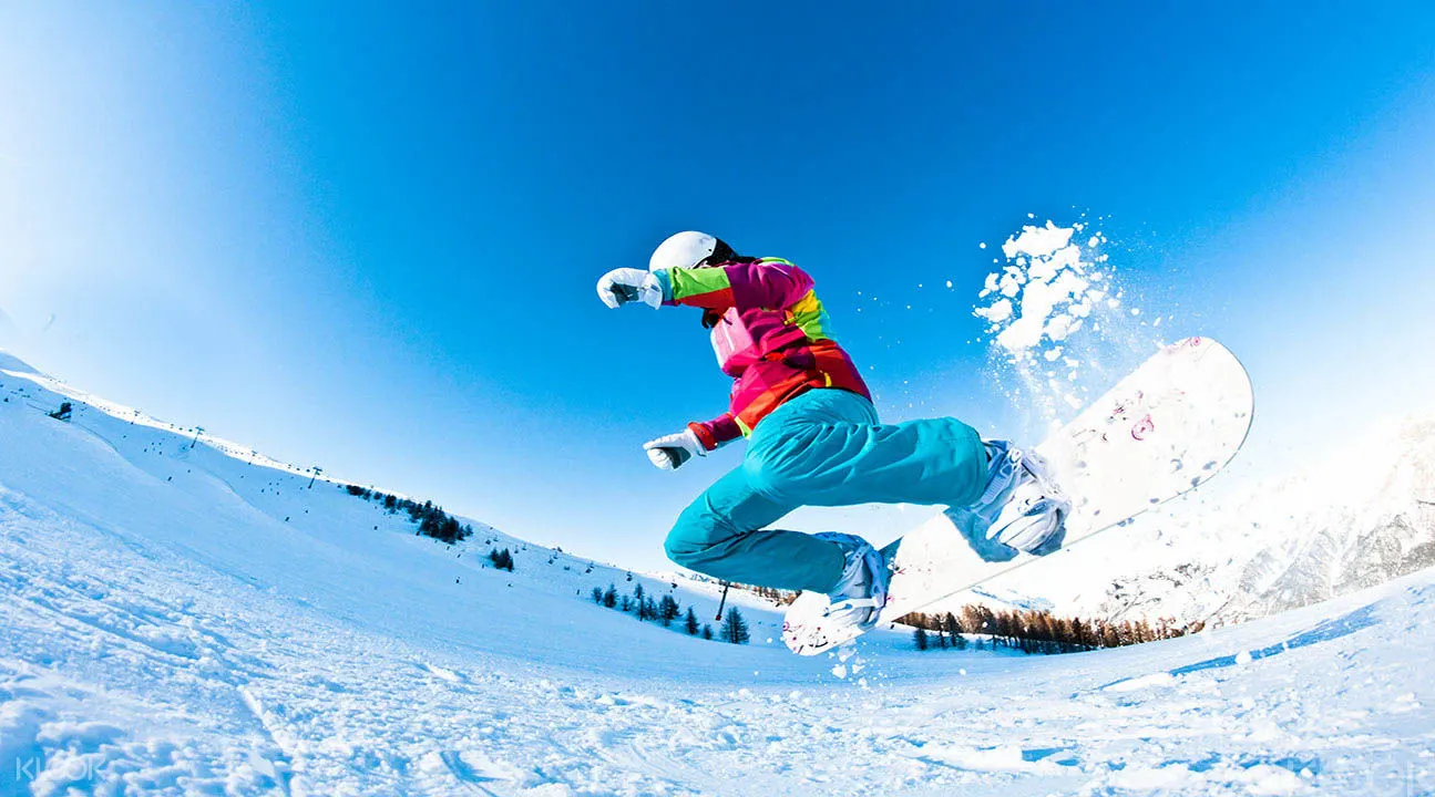 芝山度假村滑雪場