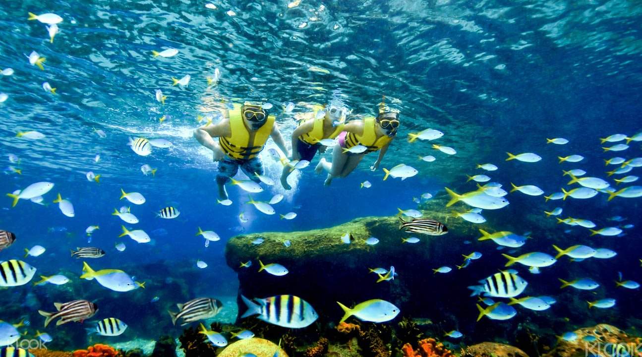 水上探險樂園