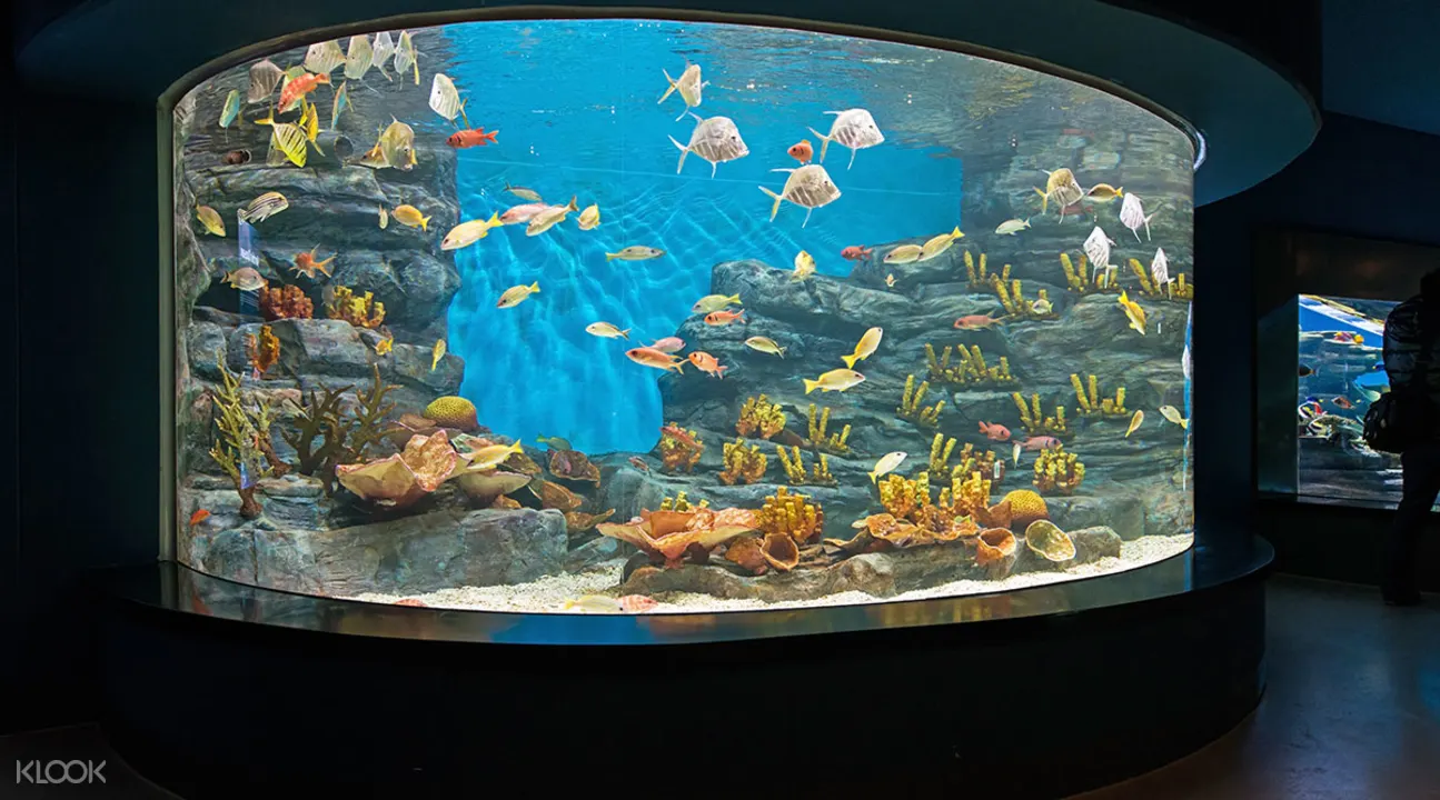 濟州島Aqua Planet水族館